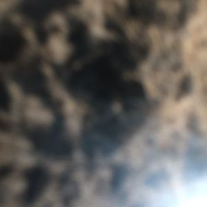 Meet your Posher, Dee